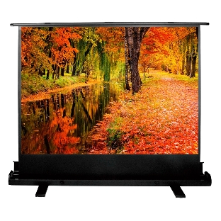 Экран Cactus 150x200 см FloorExpert CS-PSFLE-200X150 4:3 напольный рулонный