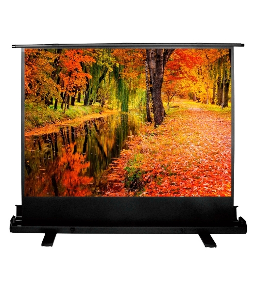 Экран Cactus 150x200 см FloorExpert CS-PSFLE-200X150 4:3 напольный рулонный