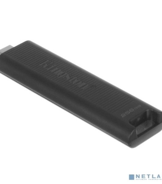 Флешка USB Kingston DataTraveler Max (DTMAX/256GB), 256Gb, USB 3.2 Gen 2 Type-C, R/W 1000/900, черный