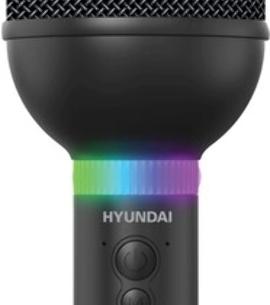 Микрофон беспроводной Hyundai H-MIC101 черный