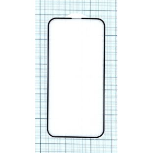 Защитное стекло для Apple iPhone 13 Pro черный