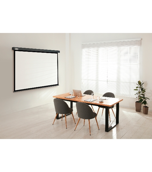 Экран Cactus 124.5x221 см Wallscreen CS-PSW-124X221-SG 16:9 настенно-потолочный рулонный серый