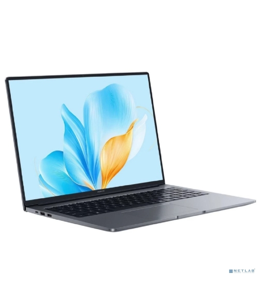 Ноутбук HONOR MagicBook X 16 серый 5301ALXS Intel Core i3 1315U/8Gb/SSD 512Gb/16';/IPS/FHD+/60Hz/NoOS