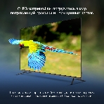 Телевизор Hyundai 65' H-LED65BU7100 серый/серый LED UHD 60Hz WebOS, фото36