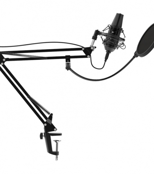 Микрофон Ritmix RDM-180 черный