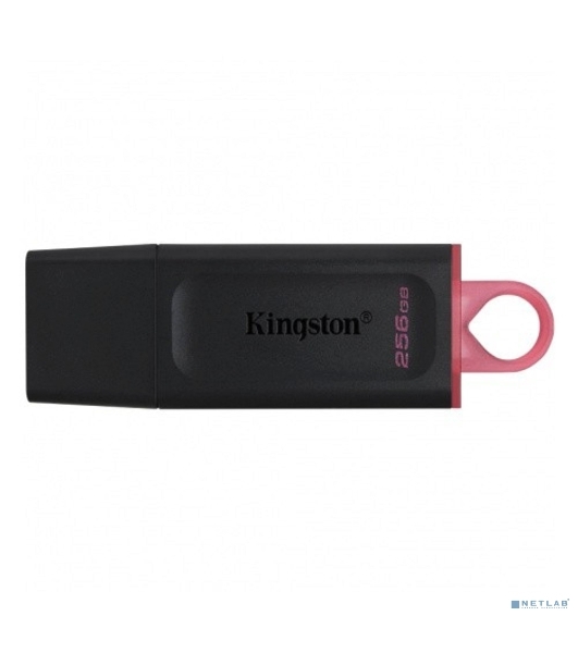 Флешка USB Kingston DataTraveler Exodia (DTX/256GB), 256Gb, USB 3.2 Gen 1, R/W 200/60, черный/розовый