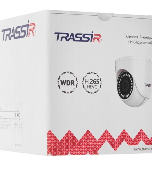 Видеокамера IP Trassir TR-D3121IR2 v6 2.8 2.8-2.8мм цветная
