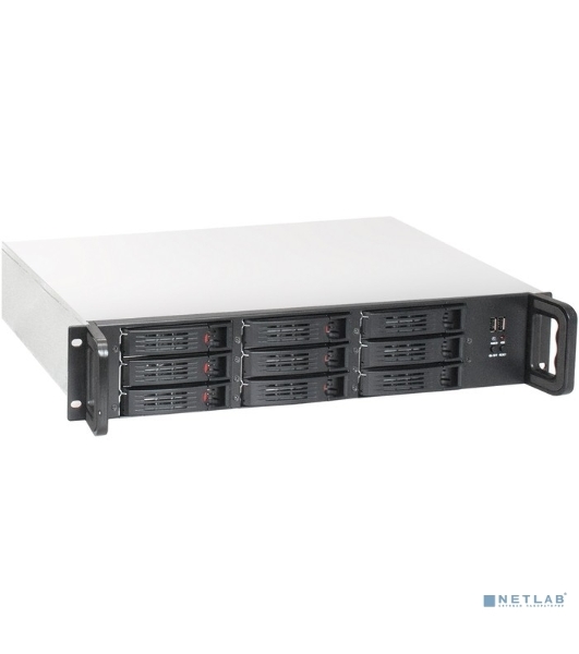 Серверный корпус ExeGate Pro EX285225RUS 2U650-HS09 (RM 19', высота 2U, глубина 650, БП 2U-800ADS, 9xHotSwap, 2*USB)