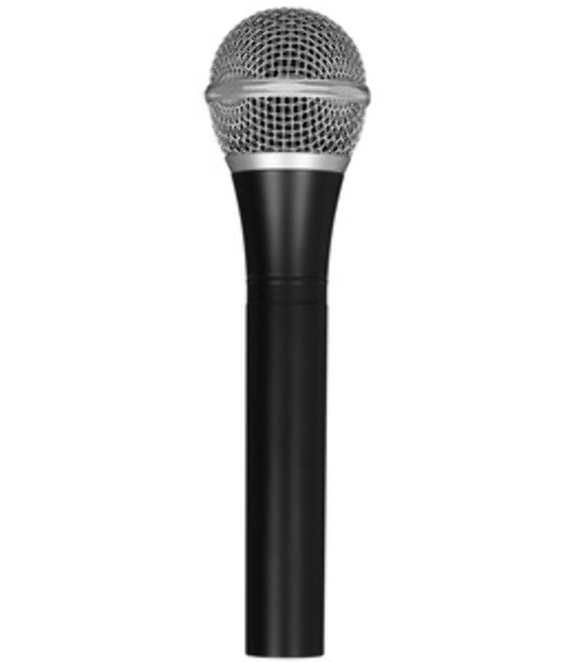Микрофон Ritmix RDM-155 черный