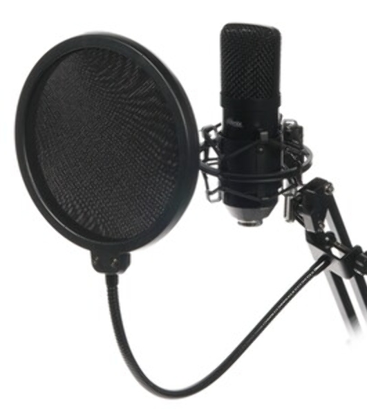 Микрофон Ritmix RDM-169 черный
