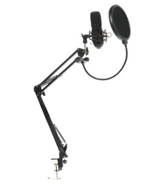 Микрофон Ritmix RDM-169 черный