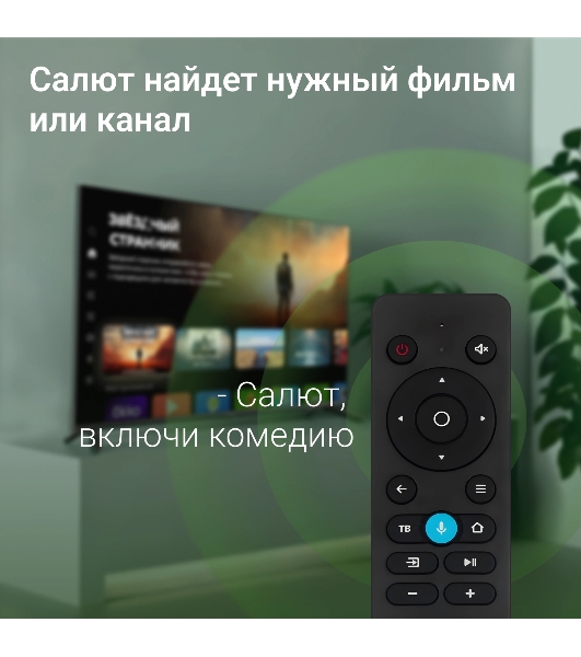 Телевизор Digma 43' DM-LED43SBB36 черный LED FHD 60Hz Салют ТВ