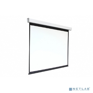 Экран 213x213см Digis Electra-F DSEF-1107 1:1 настенно-потолочный рулонный (моторизованный привод)