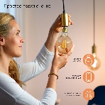 Лампа светодиодная филаментная Gauss Smart Home DIM E27 Diamond Golden 7 Вт 1/40, фото3