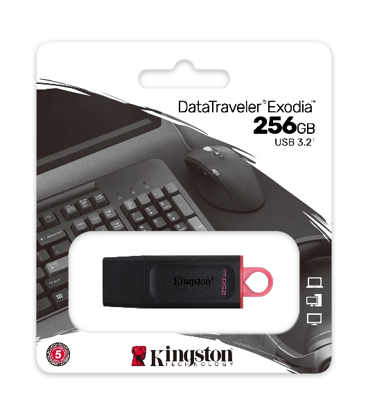 Флешка USB Kingston DataTraveler Exodia (DTX/256GB), 256Gb, USB 3.2 Gen 1, R/W 200/60, черный/розовый