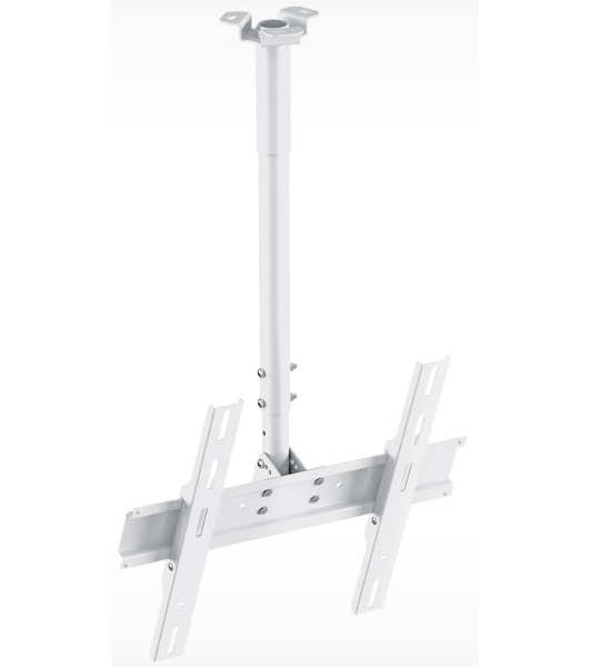 Кронштейн для телевизора Holder PR-101-W белый 32'-65' макс.60кг потолочный фиксированный