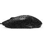 Мышь проводная ExeGate SH-9025L2 OEM черный, 1000 dpi, USB, кнопки - 3, фото2