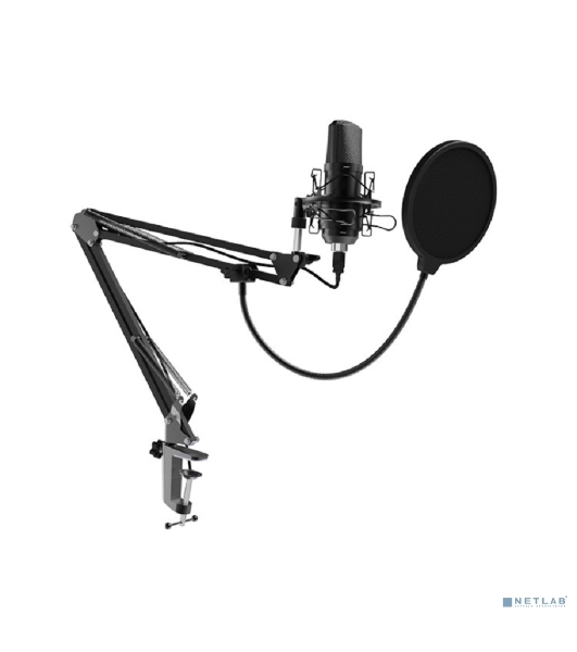 Микрофон Ritmix RDM-169 черный