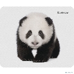 Коврик для мыши Defender Wild Animals и, 220x180x2 мм, 8 видов, фото14