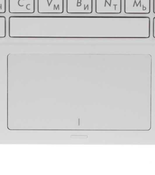 Петли для ноутбука Asus T100HA