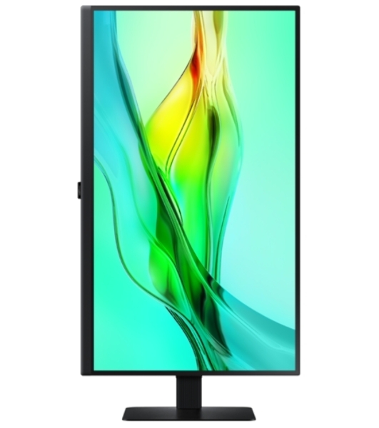 Монитор 24' Samsung ViewFinity S6 S24D604UAU IPS 2560x1440, 100 Гц, 5 мс, 16:9, 350 кд/м², HDMI 2.0, DP 1.4, USB-C, Ethernet, 3.5 Jack, USB Hub, HDR10, PIP, черный