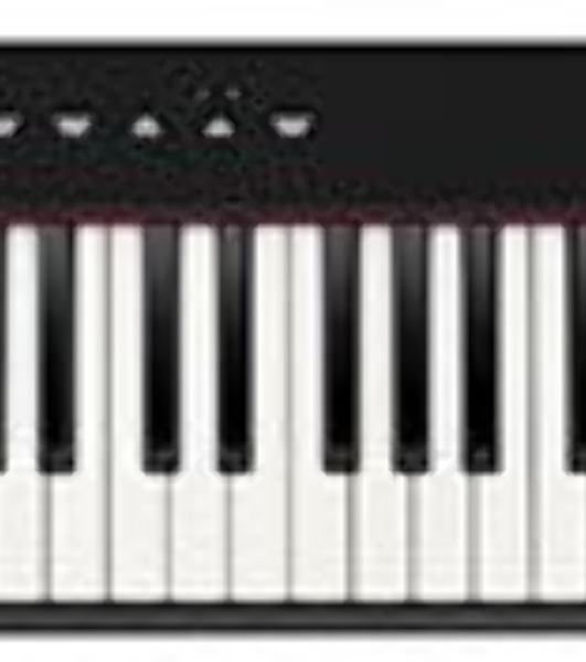 Цифровое фортепиано Casio PRIVIA PX-S1100BK 88клав. черный