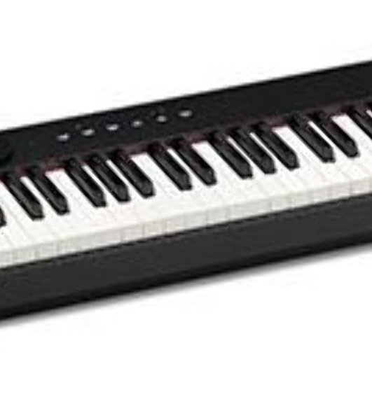 Цифровое фортепиано Casio PRIVIA PX-S1100BK 88клав. черный