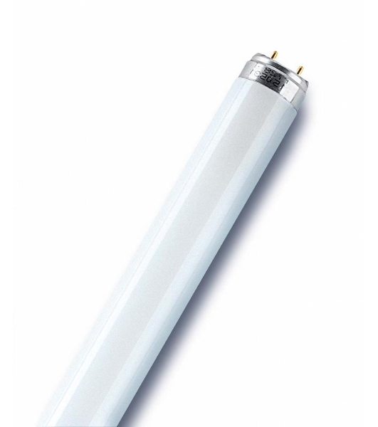 Лампа люминесцентная Osram L18W/640 G13