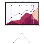 Экран для проектора Cactus CS-PST-180x180, 100 ', 1:1, напольный, рулонный, белый  матовый, фото5