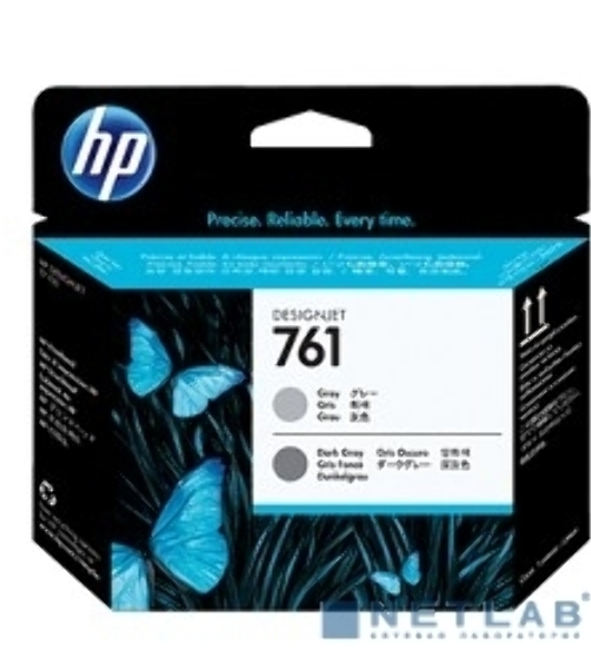 Картридж струйный HP 761 CH647A темно-серый/серый печатающая головка для HP DJ T7100