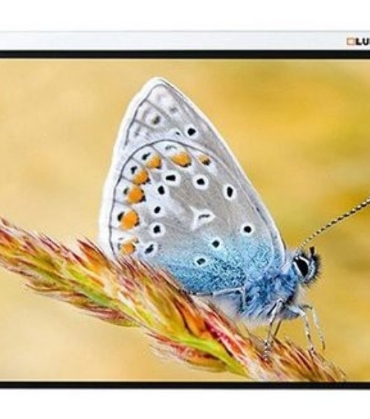 Экран с электроприводом Lumien Master Control 229x305 см (146') Matte White FiberGlass черная кайма по периметру