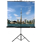 Экран на штативе Lumien Eco View 183x244см (раб.область175х236 см) Matte White с возможностью настенного крепления 4:3, фото 1