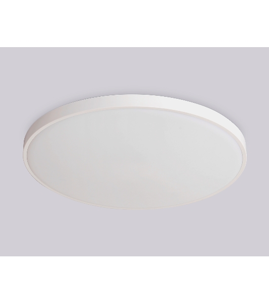 Потолочный светодиодный светильник Ambrella light FZ1200 WH белый IP54 11W 5000K D210*60 (без ПДУ)
