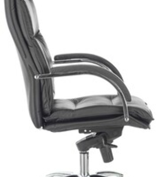 Кресло Бюрократ T-9927SL-LOW-V черный, кожа