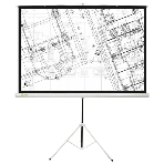 Экран Cactus 127x127см Triscreen CS-PST-127X127 1:1 напольный рулонный белый, фото 1