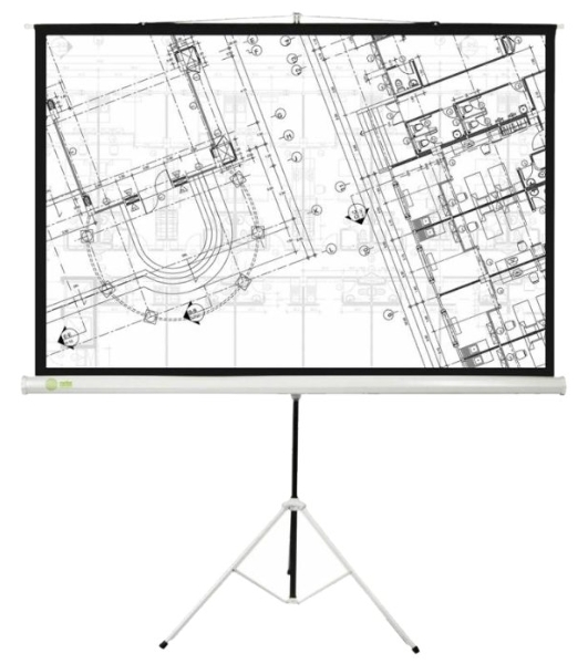 Экран Cactus 127x127см Triscreen CS-PST-127X127 1:1 напольный рулонный белый