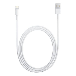 Кабель Apple для iPhone 5/5S MD819ZM/A (MD819ZM/A)