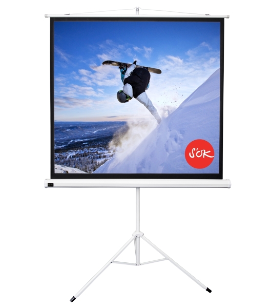 Экран 127x127см TriScreen 1:1 напольный рулонный белый71'