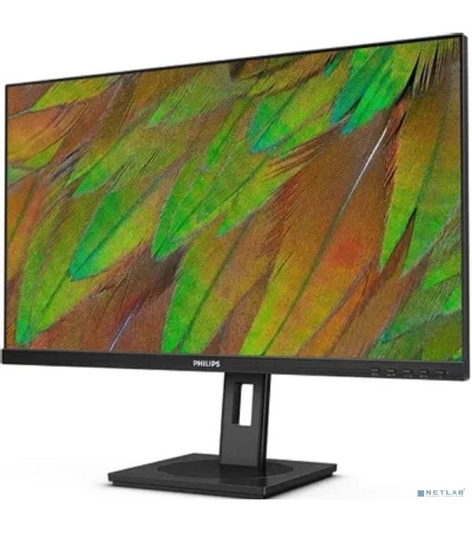 Монитор 27' Philips 27B1N3800/00 IPS 3840x2160, 60 Гц, 4 мс, 16:9, 350 кд/м², HDMI 2.0, DP 1.4, USB Hub (4x USB 3.2), 3.5 Jack, HDR10, динамики (2x2 Вт), черный