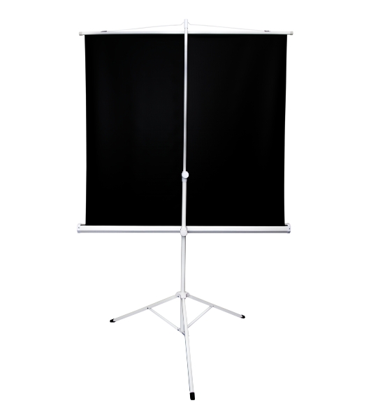 Экран 127x127см TriScreen 1:1 напольный рулонный белый71'