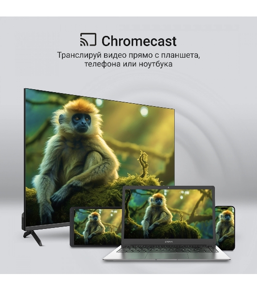 Телевизор Digma 65' DM-LED65UQB31 черный QLED 4K UHD 60Hz Google TV