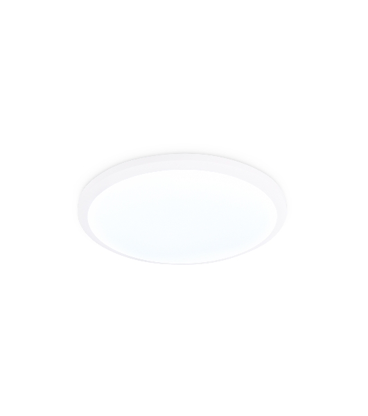 Потолочный светодиодный светильник Ambrella light FZ1230 WH белый IP44 22W 6400К D260*55 (Без ПДУ)