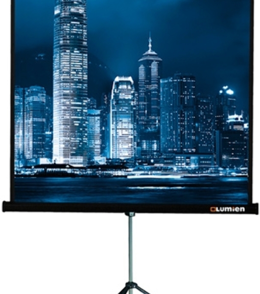 Экран на штативе Lumien Master View 244x244 см Matte White FiberGlass (LMV-100105)