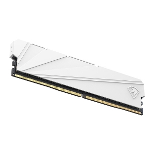 Оперативная память NETAC, DDR4, 8Gb (1x8Gb), 2666MHz, CL19, DIMM, с радиатором, белый