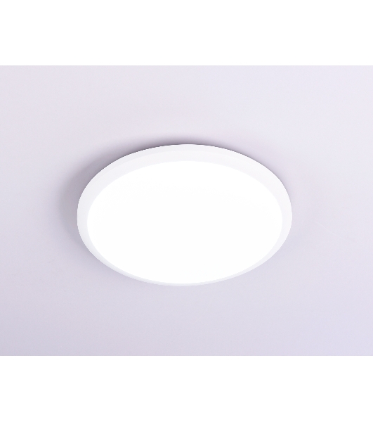 Потолочный светодиодный светильник Ambrella light FZ1230 WH белый IP44 22W 6400К D260*55 (Без ПДУ)