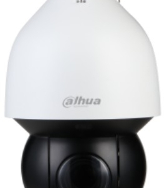 Уличная купольная PTZ IP-видеокамера Starlight с ИИ 4Мп Dahua DH-SD5A432Gb-HNR