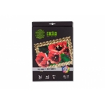 Холст Cactus CS-CA426010 A4/260г/м2/10л. для струйной печати, фото2