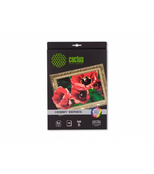 Холст Cactus CS-CA426010 A4/260г/м2/10л. для струйной печати