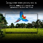 Телевизор Digma 55' Pro 55M черный/серебристый OLED 4K UHD 120Hz Google TV, фото17