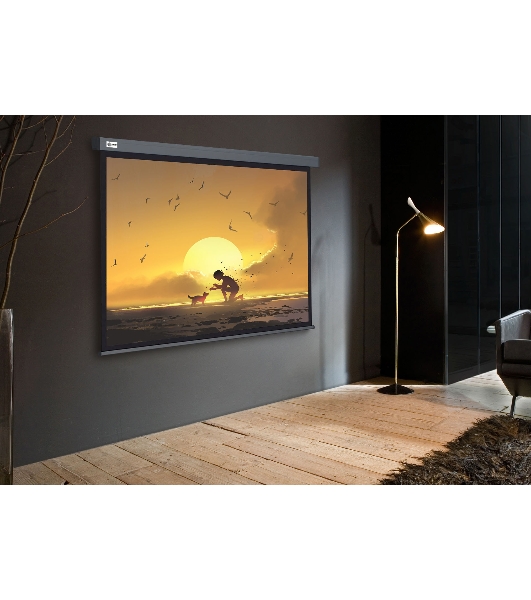 Экран Cactus 124.5x221 см Wallscreen CS-PSW-124X221-SG 16:9 настенно-потолочный рулонный серый